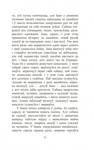 Альпійская балада фото книги 8