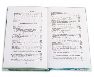 "Я конквистадор в панцире железном..." фото книги 7