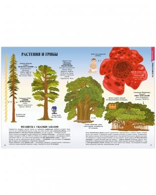 Большая энциклопедия CLEVER. Земля от атома до галактики. Масштабы мира в цифрах фото книги 4