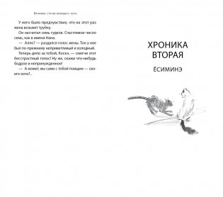 Хроники странствующего кота фото книги 4