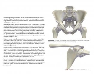 Ключевые позы йоги. Руководство по функциональной анатомии йоги фото книги 11