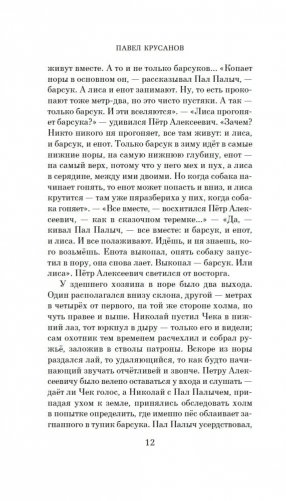 Игры на свежем воздухе фото книги 11