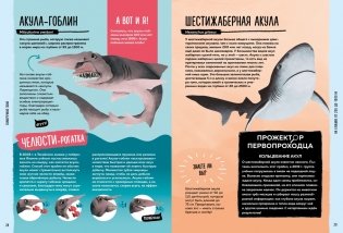 Мир вокруг тебя. Тайны мирового океана фото книги 3