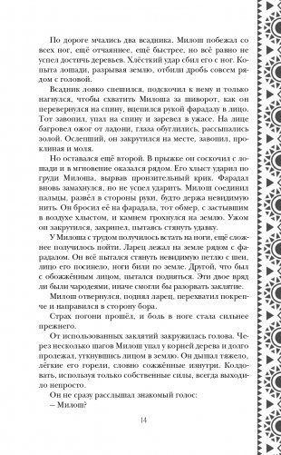 Золотые земли. Сокол и Ворон фото книги 15