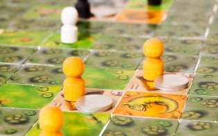 Игра настольная "Шакал" фото книги 6