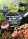 Таинственный мир северных морей фото книги маленькое 2