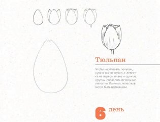 365 дней рисования. Пошаговые техники для начинающих художников фото книги 10