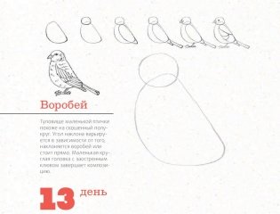 365 дней рисования. Пошаговые техники для начинающих художников фото книги 3