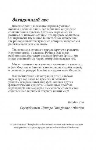 Загадочный лес. Мини-раскраска-антистресс для творчества и вдохновения фото книги 3