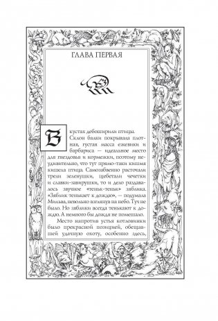 Ведьмак. Крещение огнем фото книги 8