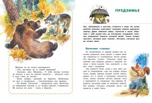 Большая лесная энциклопедия. Знакомимся с природой России фото книги 3