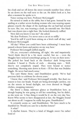 Harry Potter 1 and the Philosopher's Stone фото книги 8