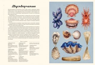 Океанариум фото книги 5