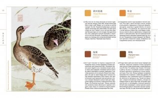 Загадочный Китай. Сборный комплект из 2-х книг с шоппером фото книги 6