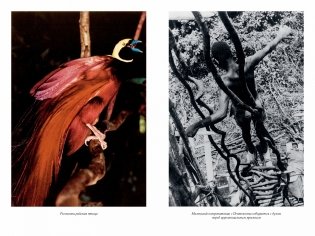 Путешествия на другую сторону света фото книги 3