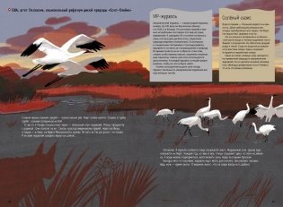 Степи, прерии, пампасы. Один год жизни исчезающего биома фото книги 6