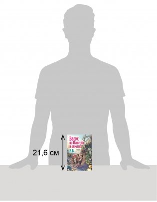 Вверх по Причуди и обратно. Удивительные приключения трех гномов фото книги 3