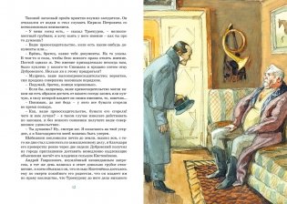 Дубровский фото книги 6