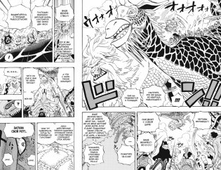 One Piece. Большой куш. Книга 22. Дорога, ведущая к солнцу фото книги 4