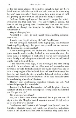 Harry Potter and the Philosopher's Stone фото книги 11