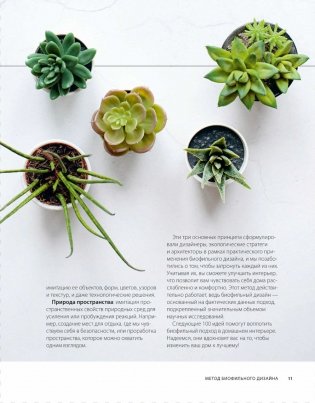Дизайн интерьера с заботой о себе. 100 решений, подсказанных природой, для здоровой и счастливой жизни фото книги 10