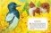 Усы, перья и хвосты. Рассказы русских писателей о животных (ил. М. Белоусовой) фото книги маленькое 8