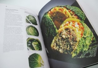 Гастрономическая энциклопедия. Том 4. Ивишень-Колбаса фото книги 2