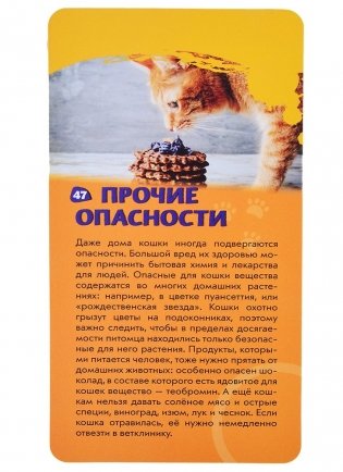 Кошки. Викторина на карточках фото книги 3
