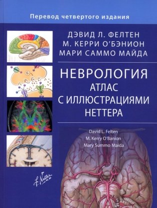 Неврология. Атлас с иллюстрациями Неттера фото книги