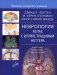 Неврология. Атлас с иллюстрациями Неттера фото книги маленькое 2