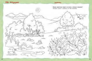 Кто живёт на опушке? Книжка-активити с развивающими заданиями, головоломками, наклейками фото книги 6