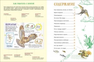 Животные. Гигантская энциклопедия для самых маленьких фото книги 4