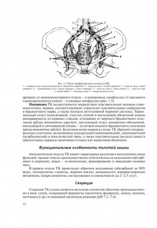 Основы колопроктологии фото книги 5