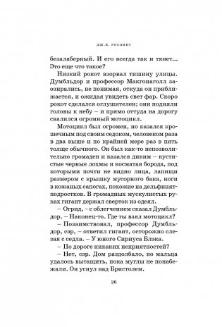 Гарри Поттер и философский камень фото книги 21