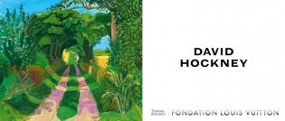 David Hockney фото книги 2