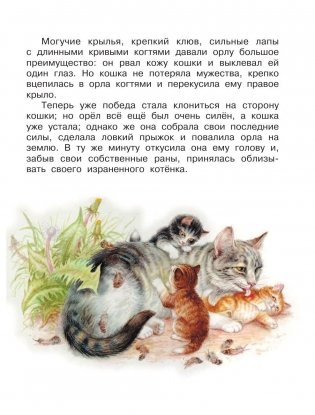 Родничок. Книга для внеклассного чтения. 3 класс фото книги 16