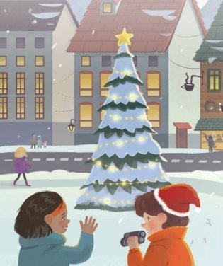 Тайный Дед Мороз фото книги 2