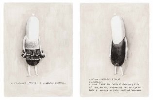 Джейн, лиса и я фото книги 6