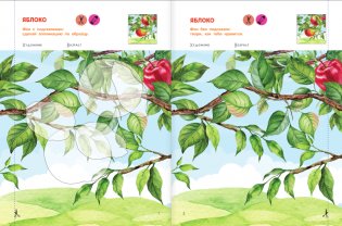 Вырезай и клей. Овощи и фрукты фото книги 2