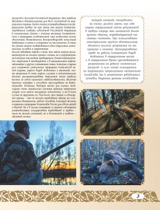 50 лучших мест для охоты в России фото книги 4