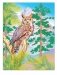 Creative Haven Forest & Woodland Wildlife Coloring Book фото книги маленькое 12