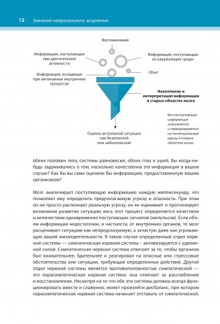 Настройка системы тело—мозг. Простые упражнения для активации блуждающего нерва против депрессии, стресса, болей в теле и проблем с пищеварением фото книги 10