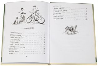 Скорость весны фото книги 6