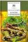 В гостях у крокодилов фото книги маленькое 2