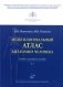 Мультилингвальный атлас анатомии человека. Т. 1: Учебно-наглядное пособие фото книги маленькое 2