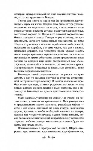 Госпожа Бовари фото книги 14