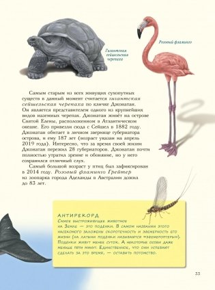Самые-самые. Животные рекордсмены фото книги 7