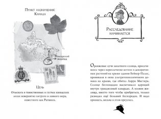 Агата Мистери. Кража на Ниагарском водопаде фото книги 2