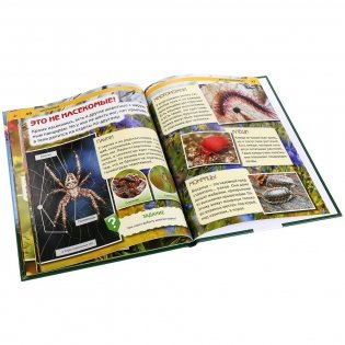 Насекомые фото книги 3
