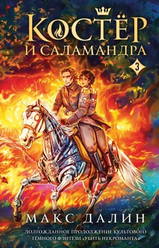 Костер и Саламандра. Книга 3 фото книги